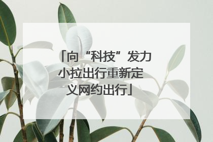 向“科技”发力 小拉出行重新定义网约出行