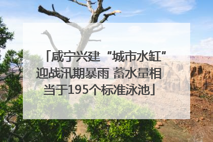 咸宁兴建“城市水缸”迎战汛期暴雨 蓄水量相当于195个标准泳池