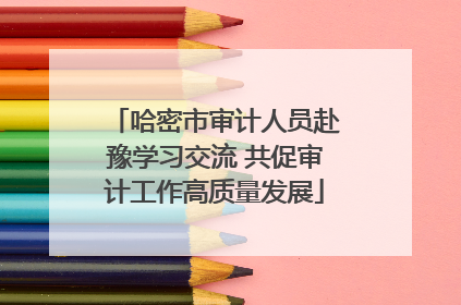 哈密市审计人员赴豫学习交流 共促审计工作高质量发展