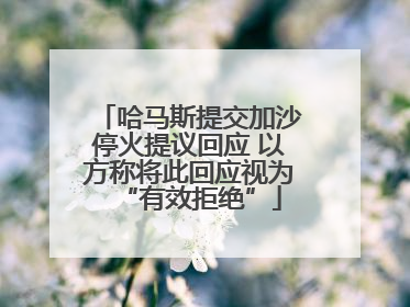 哈马斯提交加沙停火提议回应 以方称将此回应视为“有效拒绝”