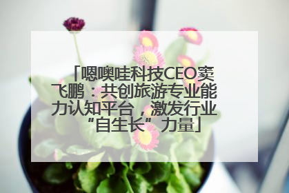 嗯噢哇科技CEO窦飞鹏：共创旅游专业能力认知平台，激发行业“自生长”力量
