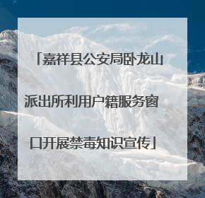 嘉祥县公安局卧龙山派出所利用户籍服务窗口开展禁毒知识宣传