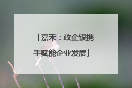 嘉禾：政企银携手赋能企业发展