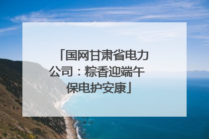 国网甘肃省电力公司：粽香迎端午 保电护安康