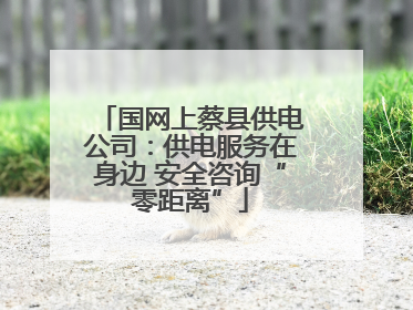 国网上蔡县供电公司：供电服务在身边 安全咨询“零距离”