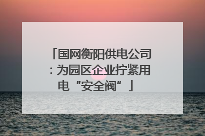 国网衡阳供电公司：为园区企业拧紧用电“安全阀”