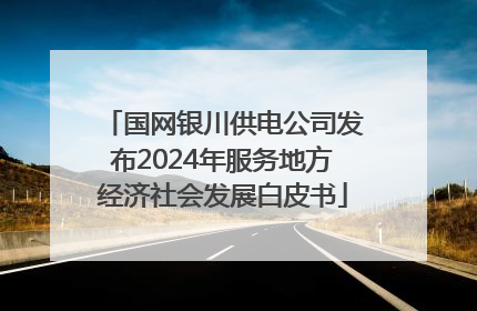 国网银川供电公司发布2024年服务地方经济社会发展白皮书