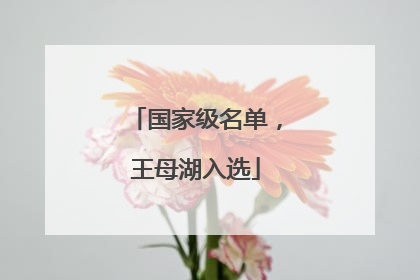 国家级名单，王母湖入选