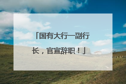 国有大行一副行长，官宣辞职！