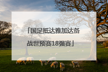 国足抵达雅加达备战世预赛18强赛