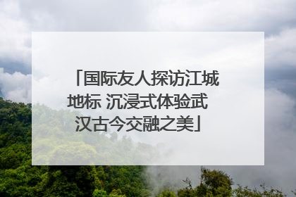 国际友人探访江城地标 沉浸式体验武汉古今交融之美
