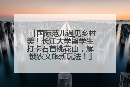 国际范儿遇见乡村美！长江大学留学生打卡石首桃花山，解锁农文旅新玩法！