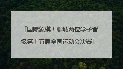 国际象棋！聊城两位学子晋级第十五届全国运动会决赛