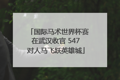 国际马术世界杯赛在武汉收官 547对人马飞跃英雄城