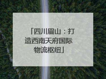 四川眉山：打造西南天府国际物流枢纽