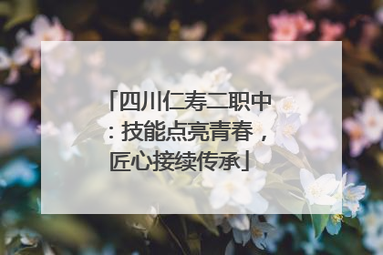 四川仁寿二职中：技能点亮青春，匠心接续传承