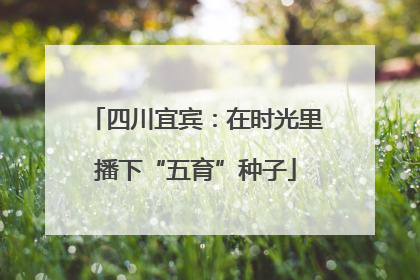 四川宜宾：在时光里播下“五育”种子