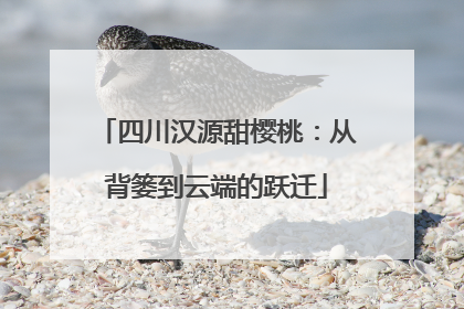 四川汉源甜樱桃：从背篓到云端的跃迁