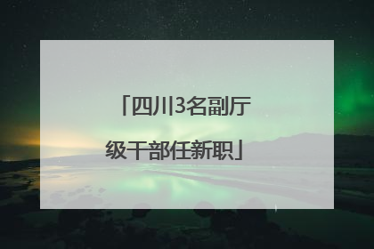 四川3名副厅级干部任新职