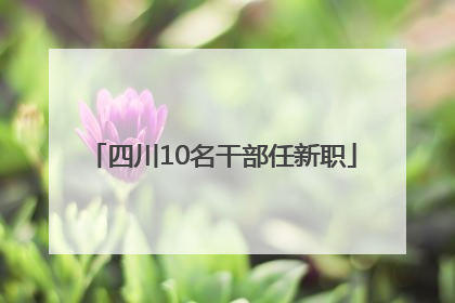 四川10名干部任新职