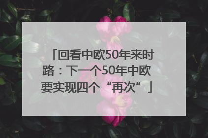 回看中欧50年来时路：下一个50年中欧要实现四个“再次”