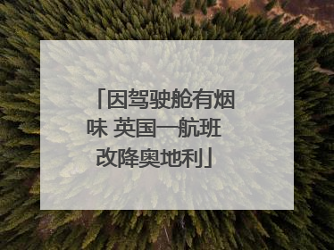 因驾驶舱有烟味 英国一航班改降奥地利