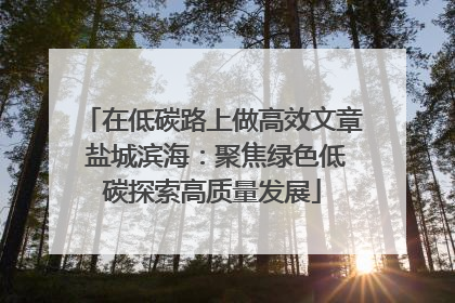 在低碳路上做高效文章 盐城滨海：聚焦绿色低碳探索高质量发展
