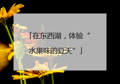 在东西湖，体验“水果味的夏天”