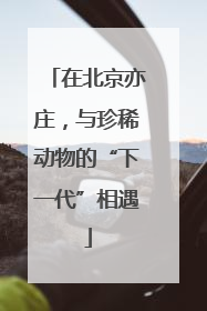在北京亦庄，与珍稀动物的“下一代”相遇