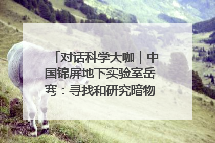 对话科学大咖｜中国锦屏地下实验室岳骞：寻找和研究暗物质，就是要去突破人类的认知边界