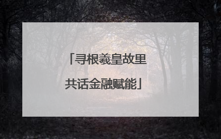 寻根羲皇故里 共话金融赋能