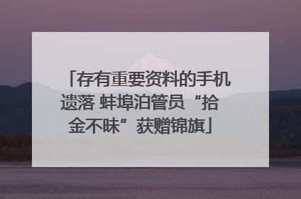存有重要资料的手机遗落 蚌埠泊管员“拾金不昧”获赠锦旗