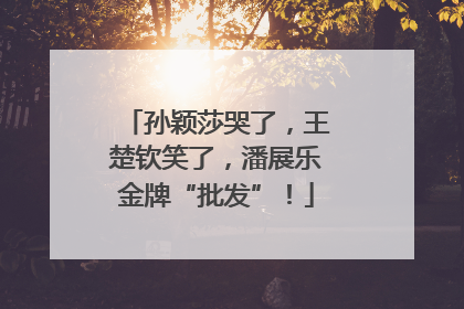 孙颖莎哭了，王楚钦笑了，潘展乐金牌“批发”！