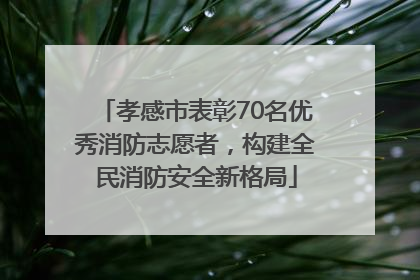 孝感市表彰70名优秀消防志愿者，构建全民消防安全新格局