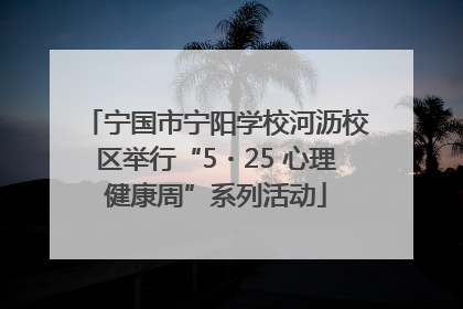 宁国市宁阳学校河沥校区举行“5・25 心理健康周”系列活动