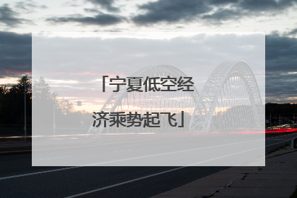 宁夏低空经济乘势起飞