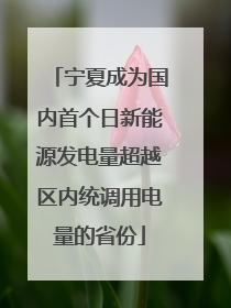 宁夏成为国内首个日新能源发电量超越区内统调用电量的省份