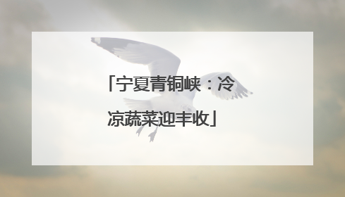 宁夏青铜峡：冷凉蔬菜迎丰收