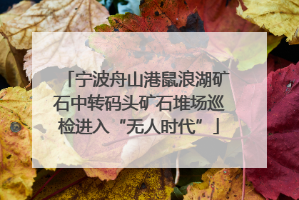 宁波舟山港鼠浪湖矿石中转码头矿石堆场巡检进入“无人时代”