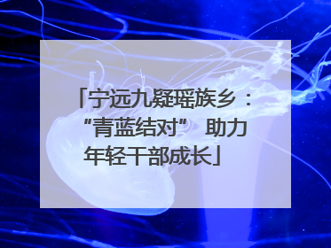 宁远九疑瑶族乡：“青蓝结对” 助力年轻干部成长