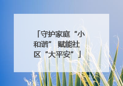 守护家庭“小和谐” 赋能社区“大平安”