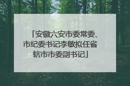 安徽六安市委常委、市纪委书记李敏拟任省辖市市委副书记