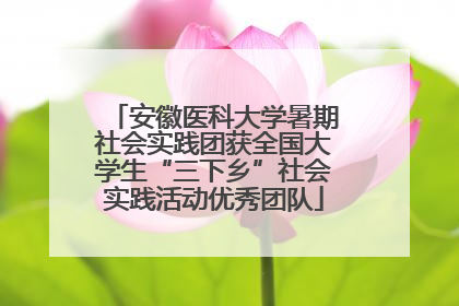 安徽医科大学暑期社会实践团获全国大学生“三下乡”社会实践活动优秀团队