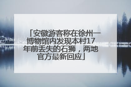 安徽游客称在徐州一博物馆内发现本村17年前丢失的石狮，两地官方最新回应