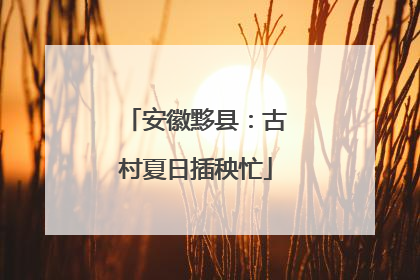 安徽黟县：古村夏日插秧忙