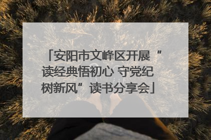 安阳市文峰区开展“读经典悟初心 守党纪树新风”读书分享会