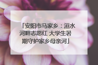 安阳市马家乡：洹水河畔志愿红 大学生暑期守护家乡母亲河