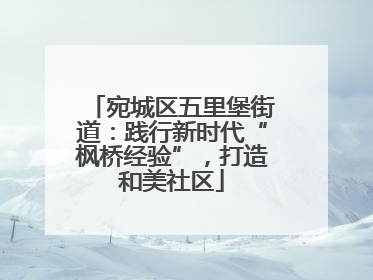 宛城区五里堡街道：践行新时代“枫桥经验”，打造和美社区