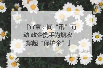 宜章：闻“汛”而动 政企携手为烟农撑起“保护伞”