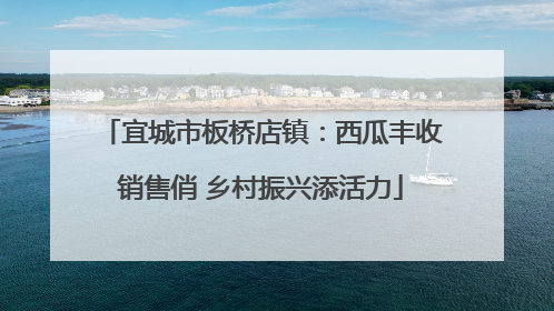 宜城市板桥店镇：西瓜丰收销售俏 乡村振兴添活力